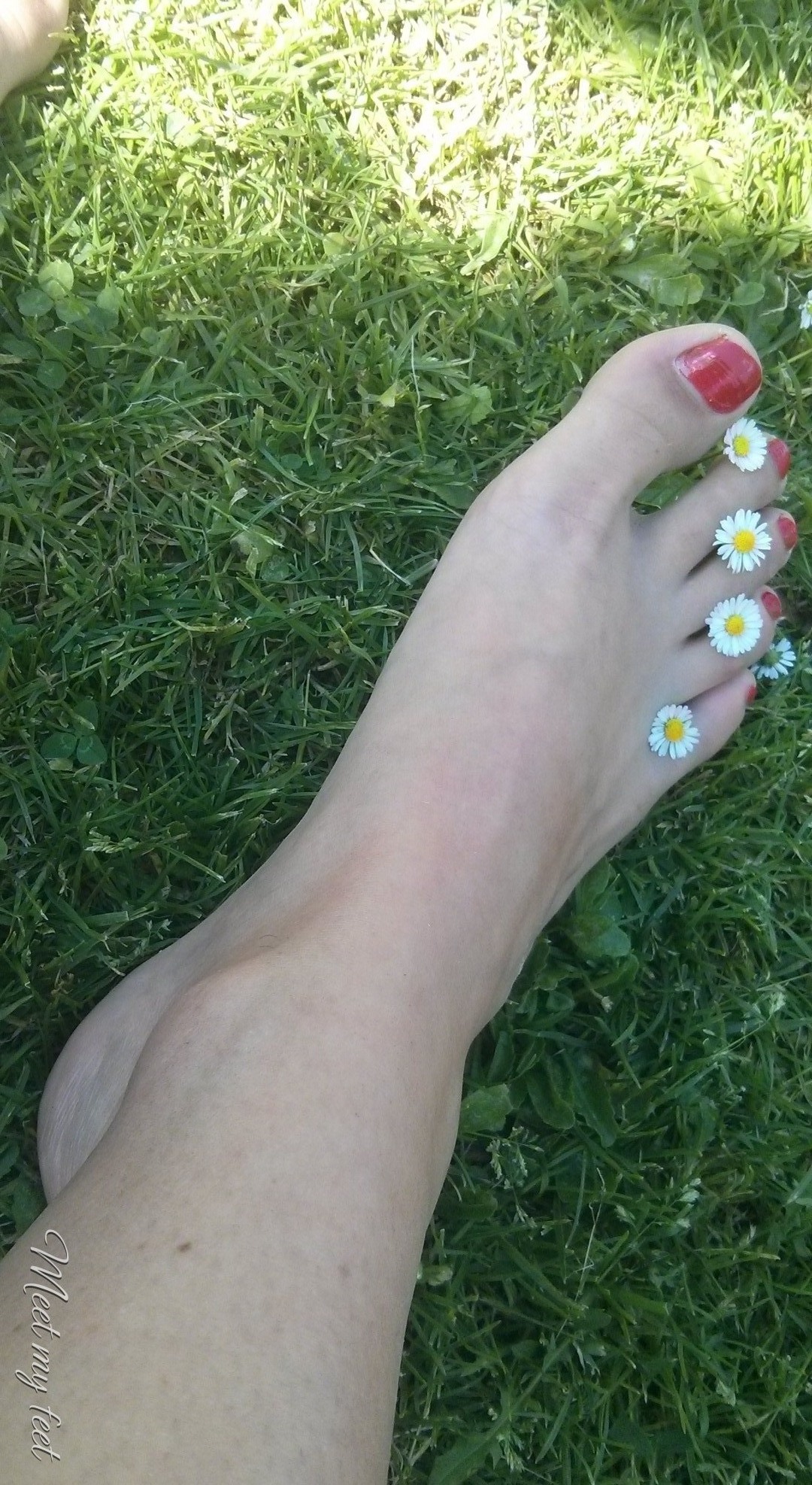 Meet My Feet - SilkFeet